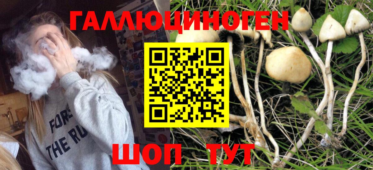 Соль-Илецк  Псилоцибиновые грибы ЛСД  Вход с VPN  Галлюциногенные грибы мицелий 